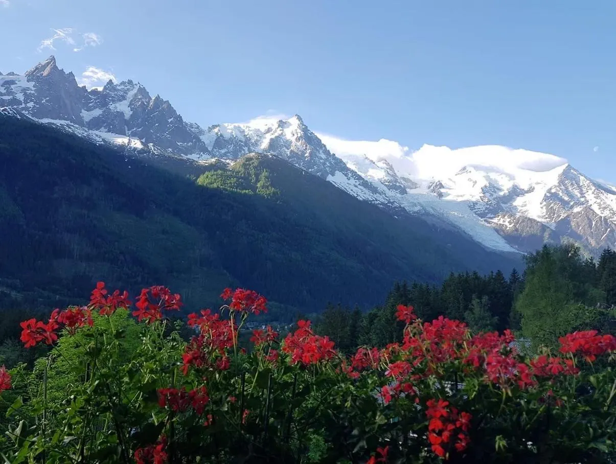 Edelweiss Yoga Chalet Hotel Chamonix